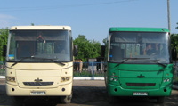 автобусы МАЗ